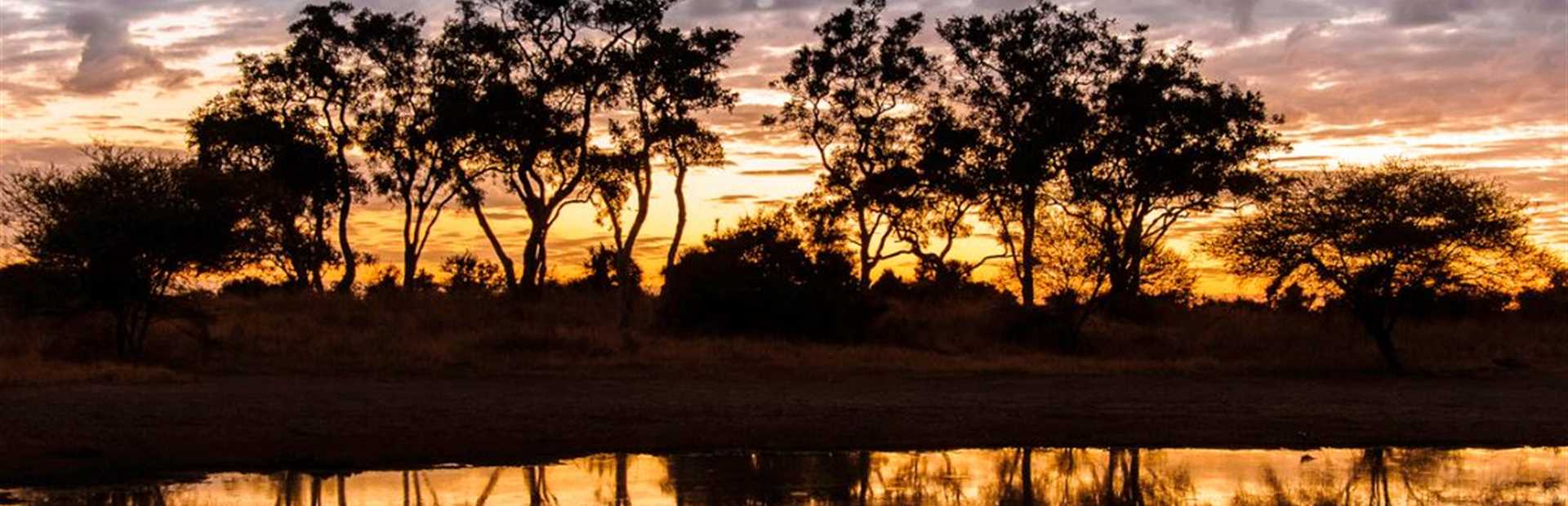 Mombo Camp (Okavango)